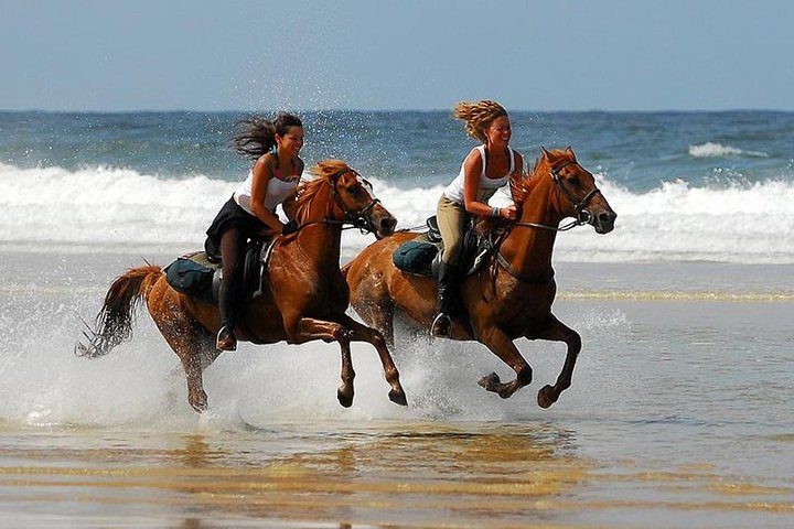 Balade à cheval sur la plage d'Agadir